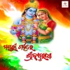 About Mayurigarbhare Srikrushnaradha (Odia) Song