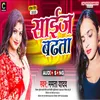 About Saize Badhata (Bhojpuri Song 2023) Song