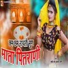 About Cham Cham Naachati Sun Mata Pitrani Song