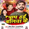 About Bagh Hai Ballia Ke (Bhojpuri) Song