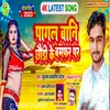 About Pagal Bani Chhodhi Ke Bamphar Par Song