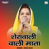 About Sheravali Vali Mata (Hindi) Song