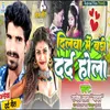 About Dilwa Mein Badi Dard Hola Song