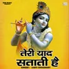 About Teri Yad Satati Hai (Hindi) Song