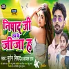 About Nishad Ji Sab Ke Jija H (Bhojpuri) Song