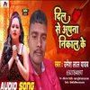 About Dill Se Apana Nikal Ke Song