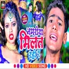 About Namariya Milat Rahi Re (Bhojpuri) Song