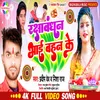 About Rakshabandhan Bhai Bahan Ke Song