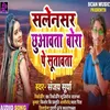 About Salensar Chhuwawta Bora Pe Sutawta (Bhojpuri Song) Song