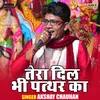 Tera Dil Bhi Patthar Ka (Hindi)