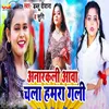 About Anarkali Aawa Chala Hamara Gali Song