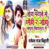 About Tora Patave Me Chaudi 2 Zoda Chapal  Khiyaelu Ge (Bhojpuri) Song