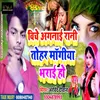 About Biche Aganai Rani Tohar Magiya Bharai Ho Song