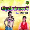 About Nimbu Paki Rahe Bagan Mein Song