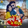 About Jado Ji Ke Bhaisiya Song