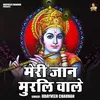 About Meri Jaan Murli Wale (Hindi) Song