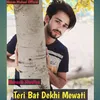 About Teri Bat Dekhi Mewati Song