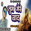 Tum Mere Baad (Hindi Song)