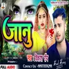 About Jaanu (Bhojpuri) Song