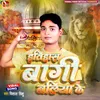 About Itihash Bagi Ballia Ke Song