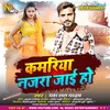 About Kamriya Najra Jaie Ho (BHOJPURI) Song