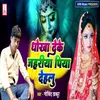 About Dhokha Deke Jahariya Piya Dehlu Song