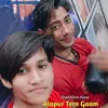 About Alapur Tero Gaam Song