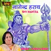 About Nagendra Haraya Trilochanaya (Hindi Shiv Mantra) Song