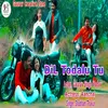 About Dil Todalu Tu (Bhojpuri) Song