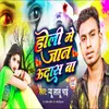 About Holi Me Jan Udas Ba Song