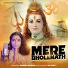 About Mere Bholenath Song