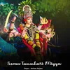 About Sevaa Tummhari Miyya Song
