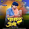 About Pagal Premi (Bhojpuri) Song