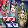 About Radhe Radhe Gata Ja (bhakti song) Song