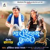 About Mar Dihalas Bichhi (Bhojpuri) Song