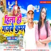 About Hilo Hau Gajbe Kamar (Bhojpuri) Song
