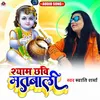 About Shyam Chhvi Matwali (Devotional) Song