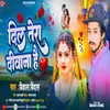 About Dil Tera Deewana Hai (Hindi) Song