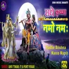 About Shree Radhe Krishna Namo Namh (bhakti song) Song