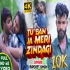 About Tu Ban Ja Meri Zindagi (Hindi) Song