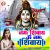 About Namah Shivay Om Namah Shivay (Hindi) Song
