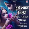 About Tujhe Shyam Milenge Song
