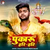 About Pukaru Hari-Hari (Hindi) Song