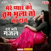 About Mere Pyaar Ko Tum Bhula To Na Doge (Hindi) Song