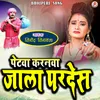 Petwa Karanwa Jala Pardes (Bhojpuri Song)