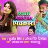 About Rangwa Se Bharal Mor Pichkari Song