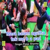 About Mera Balam Agutha Tek Me B A Pad Li Song