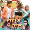 About Dhori Me Mail (Bhojpuri) Song