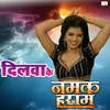 About Dilwa Ke (Bhojpuri Film NAMAK Haraam) Song