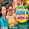 About Mandal Ji Dhodiye Ke Ashiq Ba Song